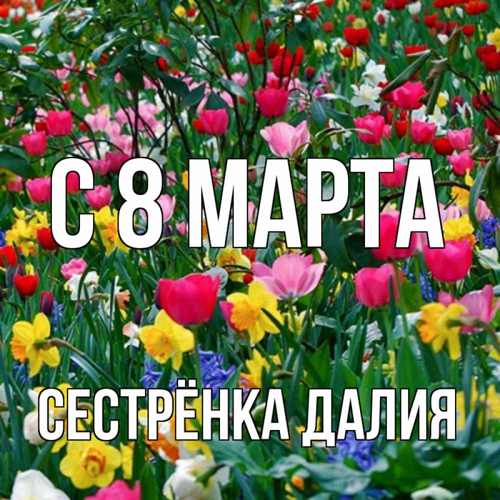 Открытка на каждый день с именем, Сестрёнка-Далия С 8 МАРТА с международным женским днем поздравления для женщины Прикольная открытка с пожеланием онлайн скачать бесплатно 