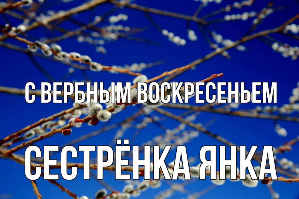 Открытка на каждый день с именем, Сестрёнка-Янка С вербным воскресеньем верба Прикольная открытка с пожеланием онлайн скачать бесплатно 