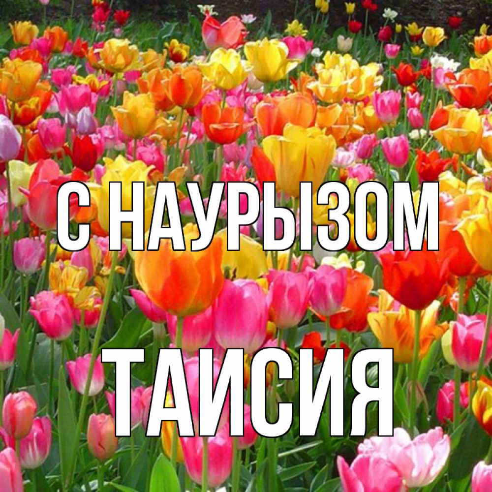 Открытка на каждый день с именем, Таисия С наурызом праздник весны наурыз 4 Прикольная открытка с пожеланием онлайн скачать бесплатно 
