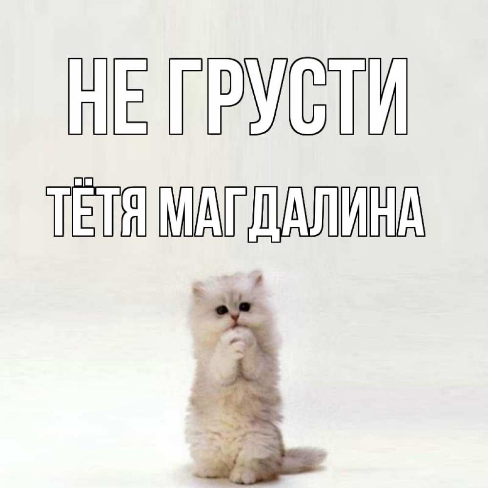 Открытка на каждый день с именем, Тётя-Магдалина Не грусти грустный кот Прикольная открытка с пожеланием онлайн скачать бесплатно 