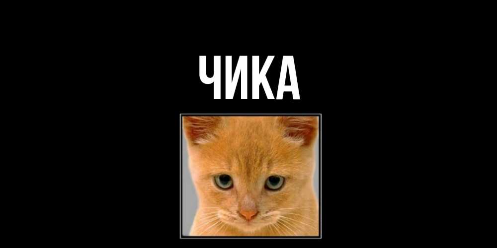 Открытка на каждый день с именем, Чика Главная рыжий грустный кот просит прощения Прикольная открытка с пожеланием онлайн скачать бесплатно 