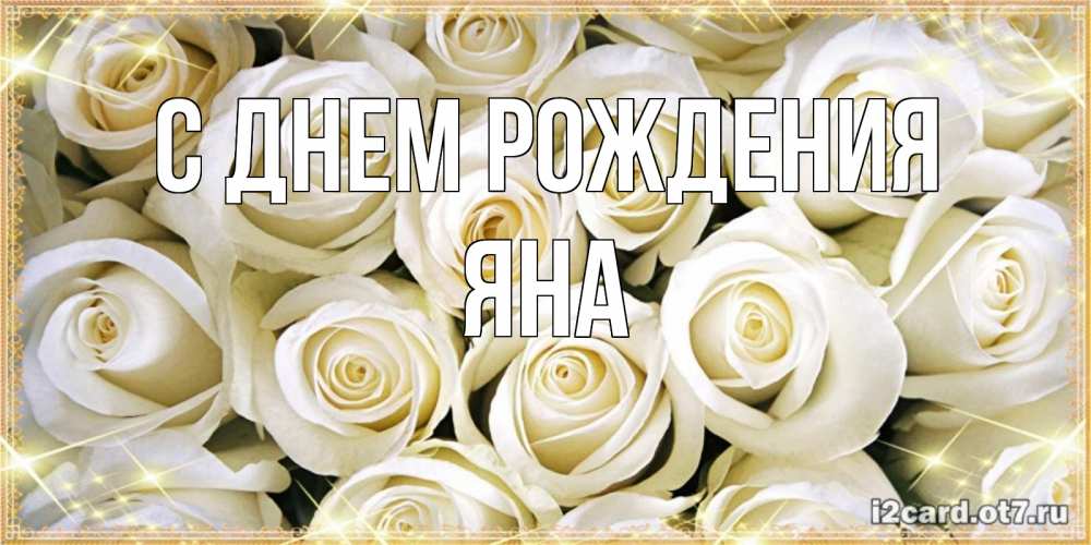 Открытка на каждый день с именем, Яна С днем рождения открытка с белыми розами. большой букет белых роз Прикольная открытка с пожеланием онлайн скачать бесплатно 