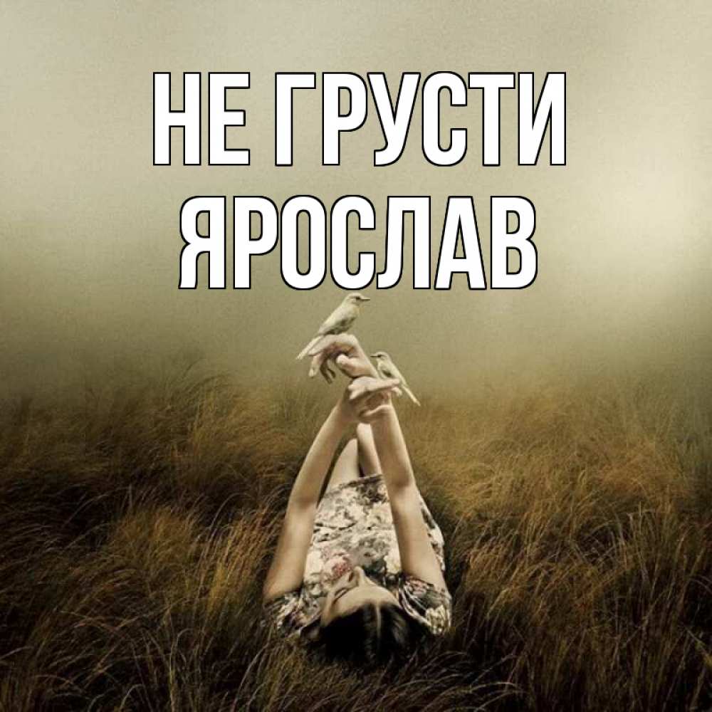 Открытка на каждый день с именем, Ярослав Не грусти поле и туман Прикольная открытка с пожеланием онлайн скачать бесплатно 