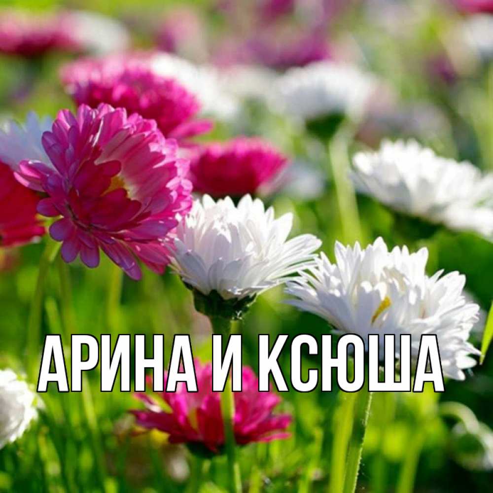 Открытка на каждый день с именем, Арина-и-Ксюша Главная праздник весны наурыз красота Прикольная открытка с пожеланием онлайн скачать бесплатно 