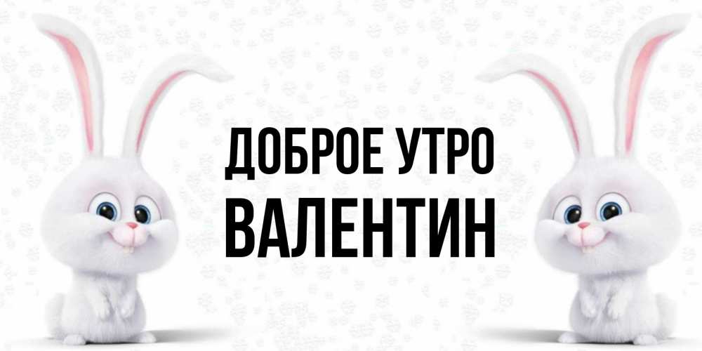 Открытка на каждый день с именем, Валентин Доброе утро кролики с длинными ушками Прикольная открытка с пожеланием онлайн скачать бесплатно 
