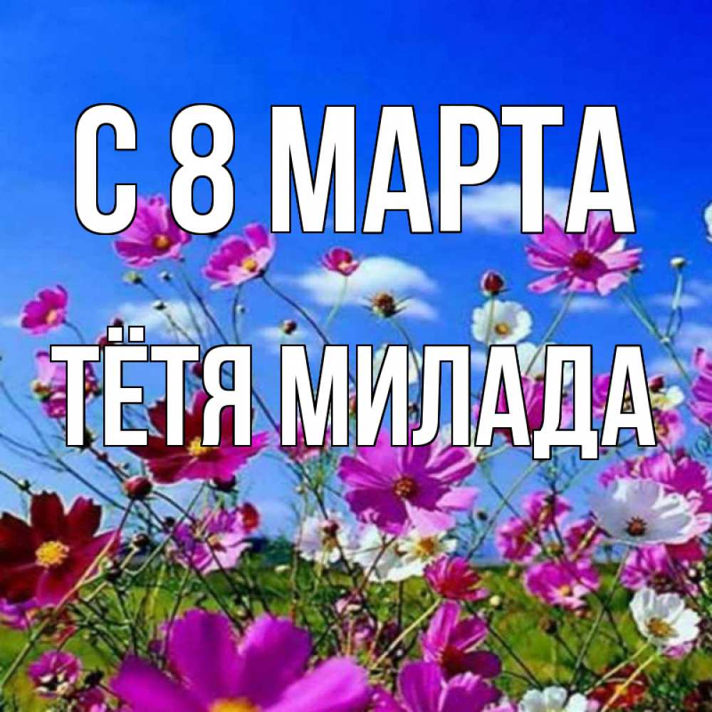 Открытка на каждый день с именем, Тётя-Милада С 8 МАРТА цветы Прикольная открытка с пожеланием онлайн скачать бесплатно 
