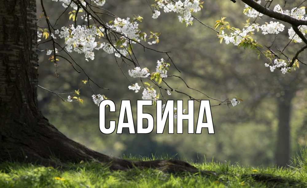 Открытка на каждый день с именем, Сабина Главная С 1 мая Прикольная открытка с пожеланием онлайн скачать бесплатно 