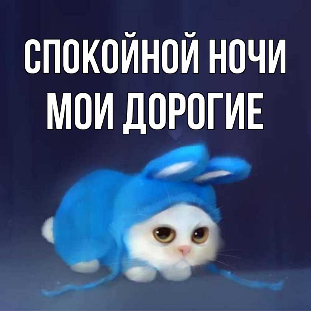 Открытка на каждый день с именем, Мои-дорогие Спокойной ночи кот в голубом костюме кролика с ушками Прикольная открытка с пожеланием онлайн скачать бесплатно 