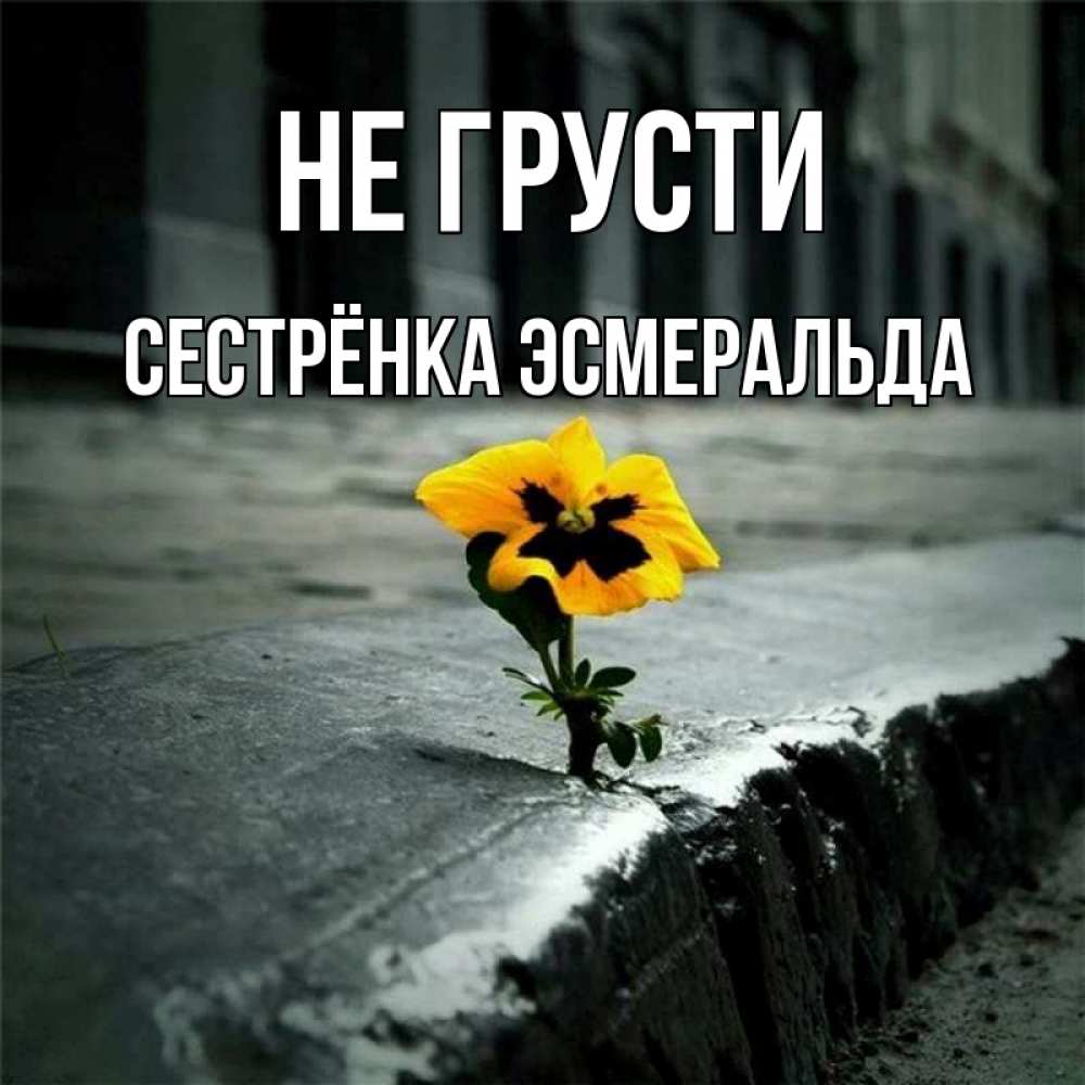 Открытка на каждый день с именем, Сестрёнка-Эсмеральда Не грусти не сдавайся Прикольная открытка с пожеланием онлайн скачать бесплатно 