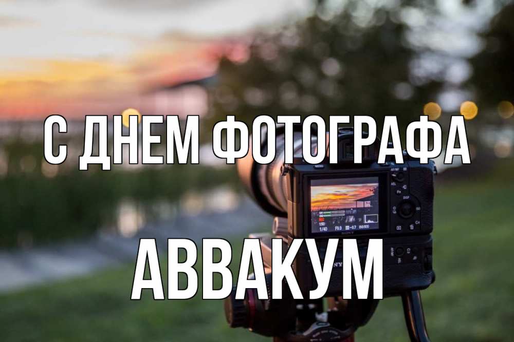 Открытка на каждый день с именем, Аввакум С днем фотографа с днем фотографа Прикольная открытка с пожеланием онлайн скачать бесплатно 