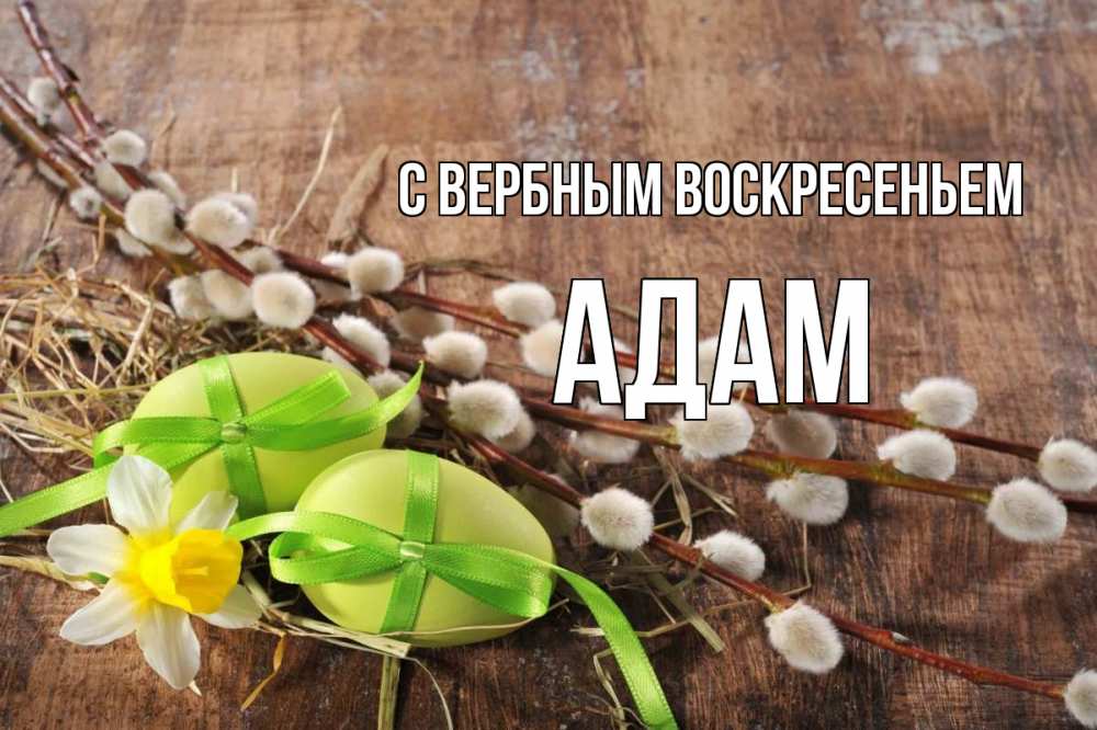 Открытка на каждый день с именем, Адам С вербным воскресеньем верба Прикольная открытка с пожеланием онлайн скачать бесплатно 