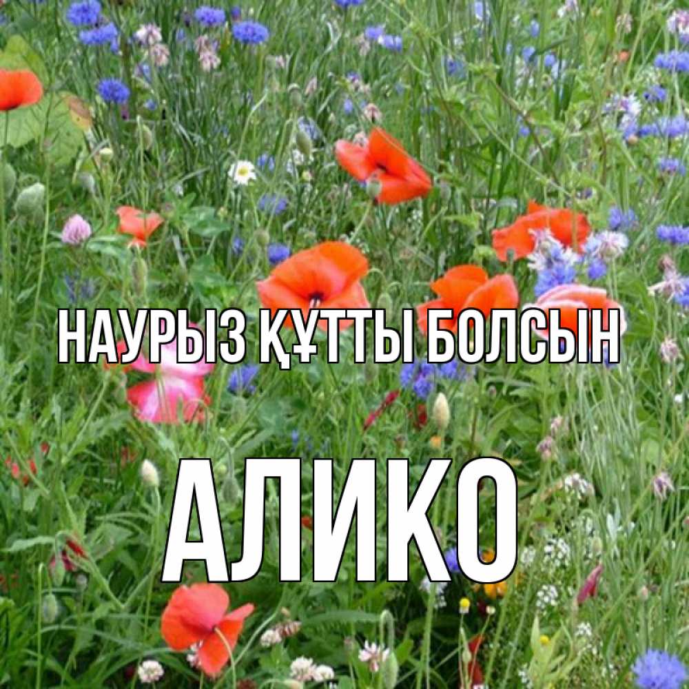 Открытка на каждый день с именем, Алико Наурыз құтты болсын наурыз  4 Прикольная открытка с пожеланием онлайн скачать бесплатно 