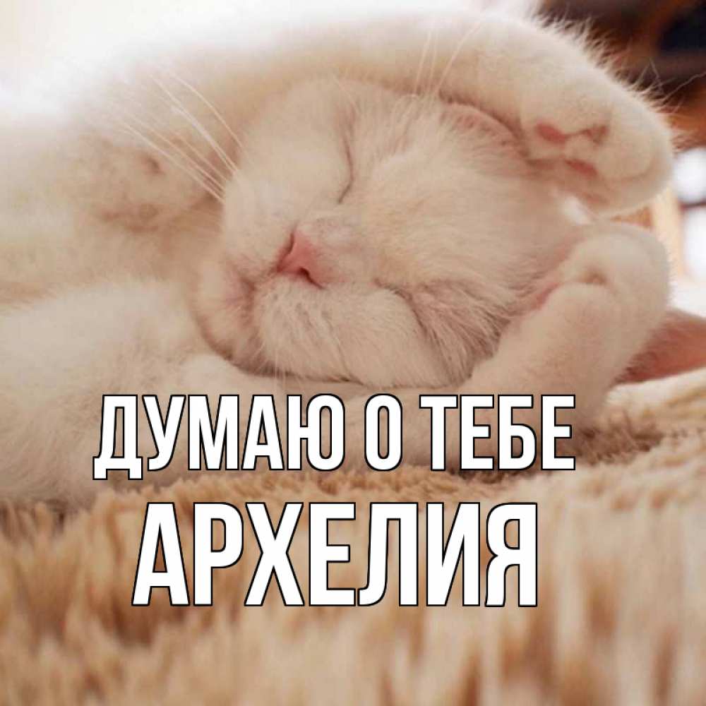Открытка на каждый день с именем, Архелия Думаю о тебе для любимой девушки милота Прикольная открытка с пожеланием онлайн скачать бесплатно 