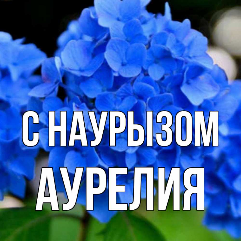 Открытка на каждый день с именем, Аурелия С наурызом синие цветы Прикольная открытка с пожеланием онлайн скачать бесплатно 