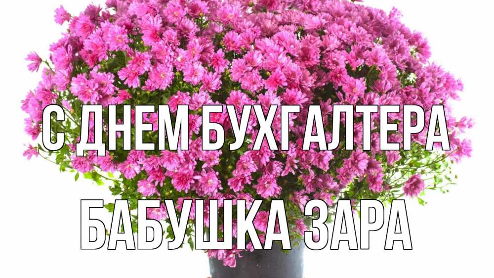Открытка на каждый день с именем, Бабушка-Зара С днем бухгалтера с днем бухгалтера Прикольная открытка с пожеланием онлайн скачать бесплатно 