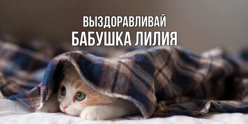 Открытка на каждый день с именем, Бабушка-Лилия Выздоравливай не болейте с котиком Прикольная открытка с пожеланием онлайн скачать бесплатно 