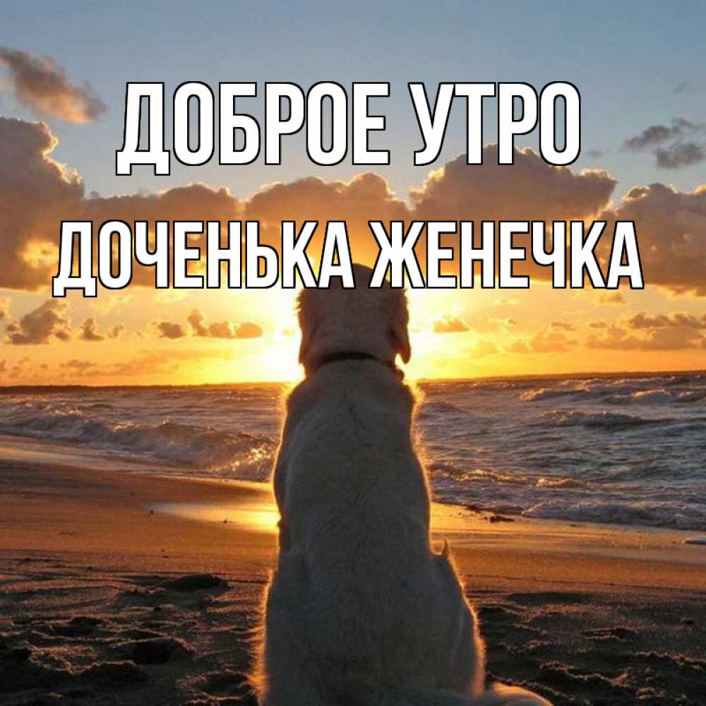 Открытка на каждый день с именем, Доченька-Женечка Доброе утро восход солнца Прикольная открытка с пожеланием онлайн скачать бесплатно 