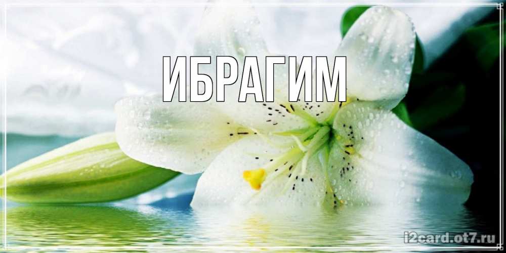 Открытка на каждый день с именем, Ибрагим Главная лилия на открытке ко дню рождения Прикольная открытка с пожеланием онлайн скачать бесплатно 