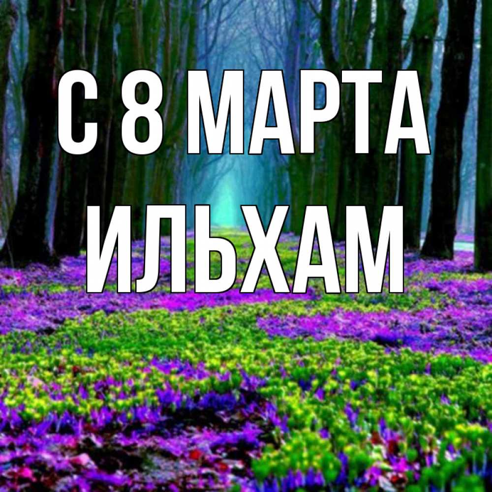Открытка на каждый день с именем, Ильхам С 8 МАРТА фиолетовые цветы в лесу 1 Прикольная открытка с пожеланием онлайн скачать бесплатно 