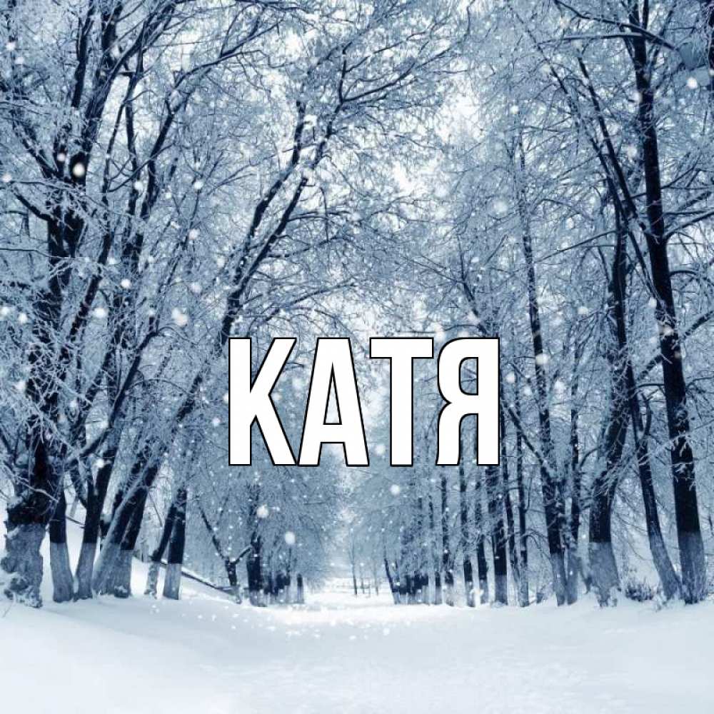 Открытка на каждый день с именем, Катя Главная снег, лес, парк Прикольная открытка с пожеланием онлайн скачать бесплатно 