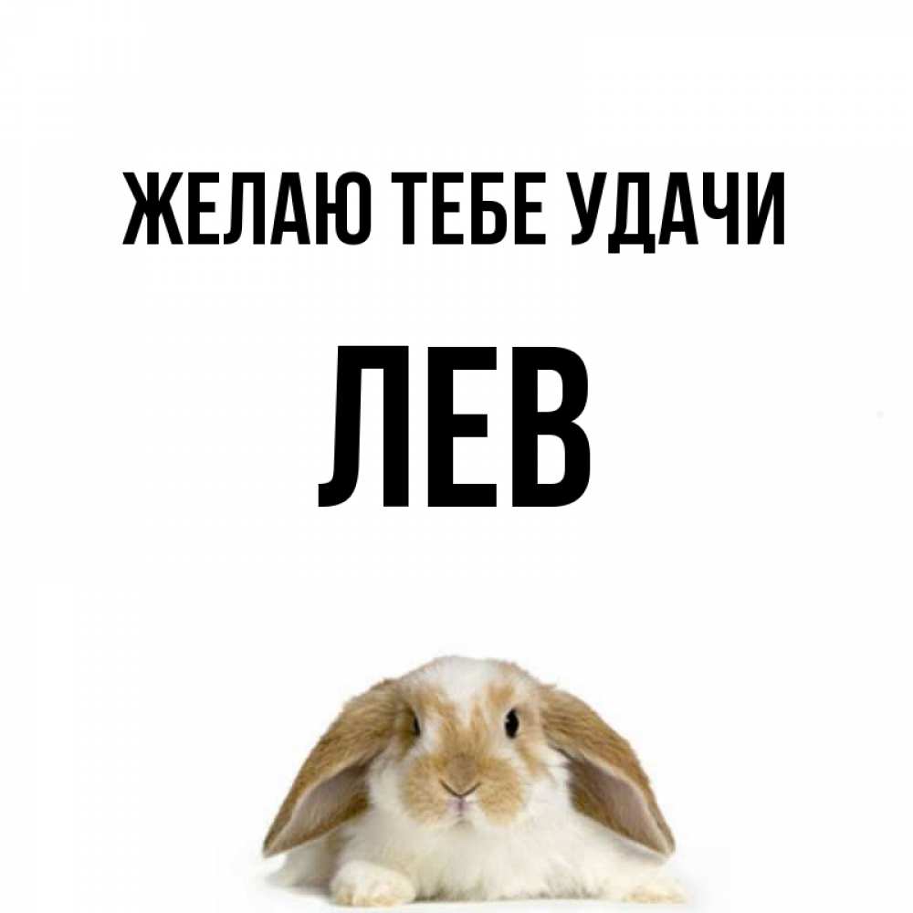 Открытка на каждый день с именем, Лев Желаю тебе удачи открытки с произвольным текстом который можно вставить в открытку и создать ее самостоятельно бесплатно онлайн Прикольная открытка с пожеланием онлайн скачать бесплатно 