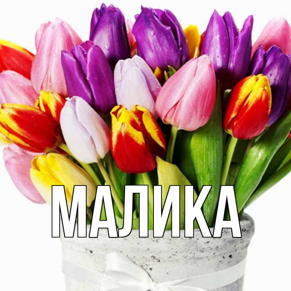 Открытка на каждый день с именем, Малика Главная букет Прикольная открытка с пожеланием онлайн скачать бесплатно 