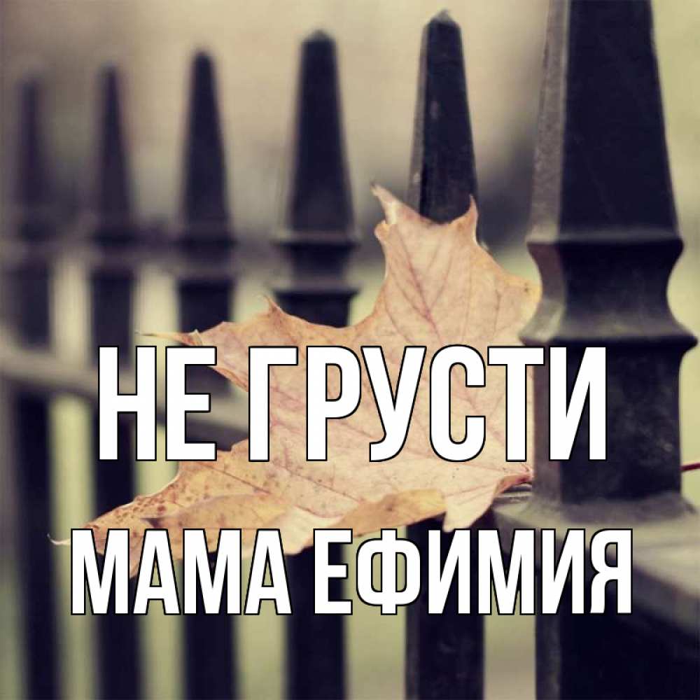 Открытка на каждый день с именем, Мама-Ефимия Не грусти лист клена Прикольная открытка с пожеланием онлайн скачать бесплатно 