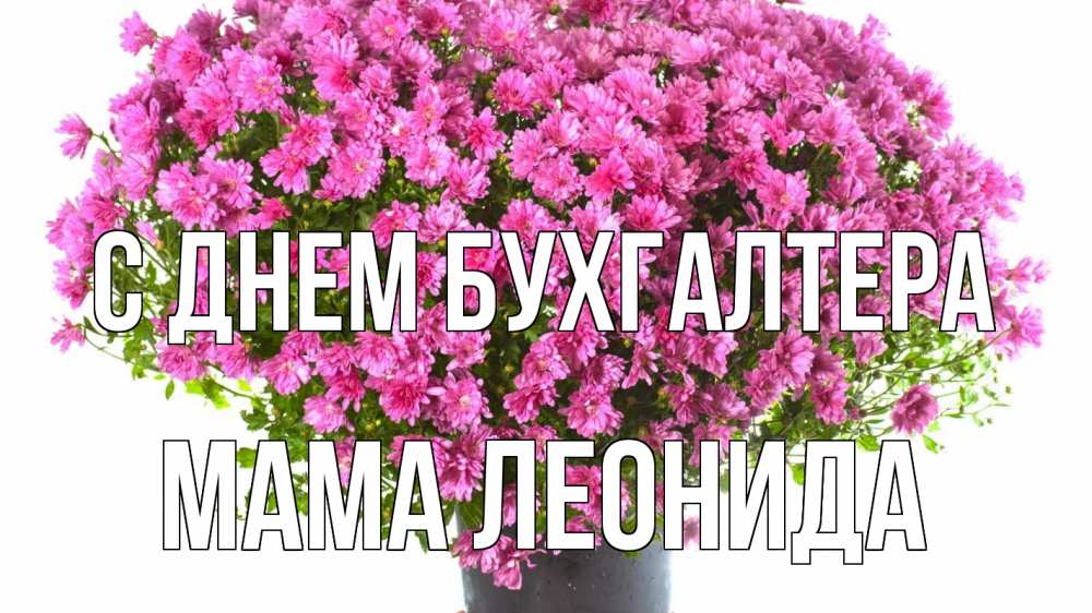 Открытка на каждый день с именем, Мама-Леонида С днем бухгалтера с днем бухгалтера Прикольная открытка с пожеланием онлайн скачать бесплатно 