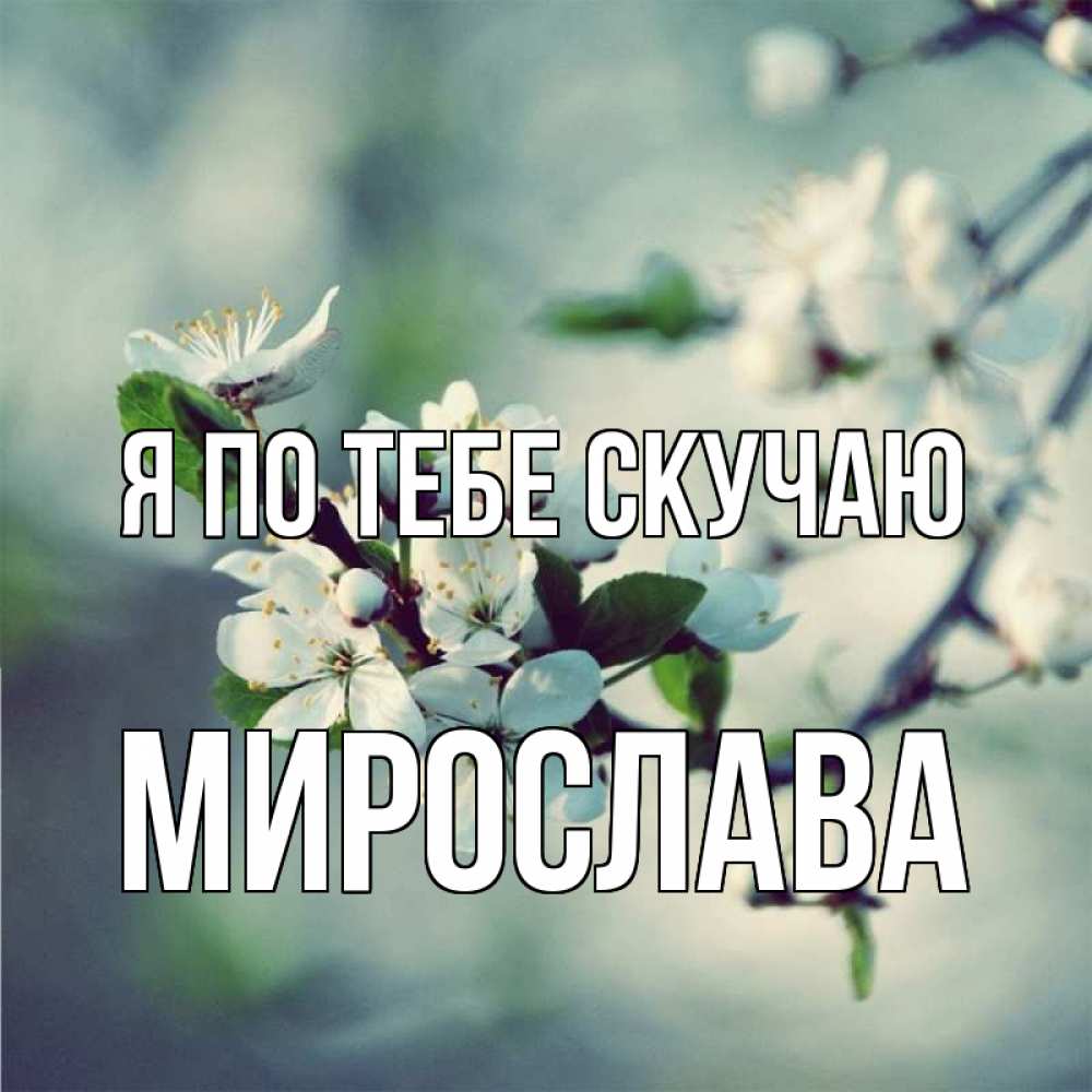 Открытка на каждый день с именем, Мирослава Я по тебе скучаю весна Прикольная открытка с пожеланием онлайн скачать бесплатно 