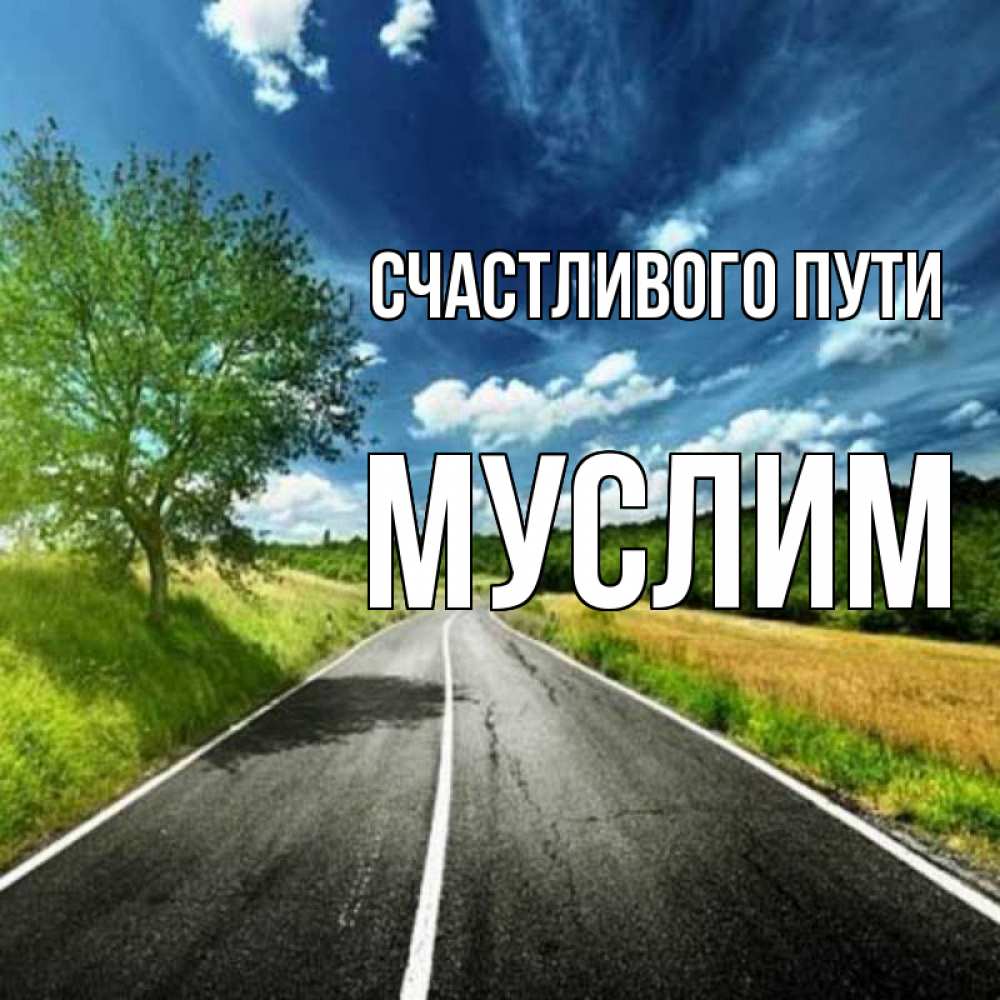 Открытка на каждый день с именем, Муслим Счастливого пути яркие деревья и небо Прикольная открытка с пожеланием онлайн скачать бесплатно 