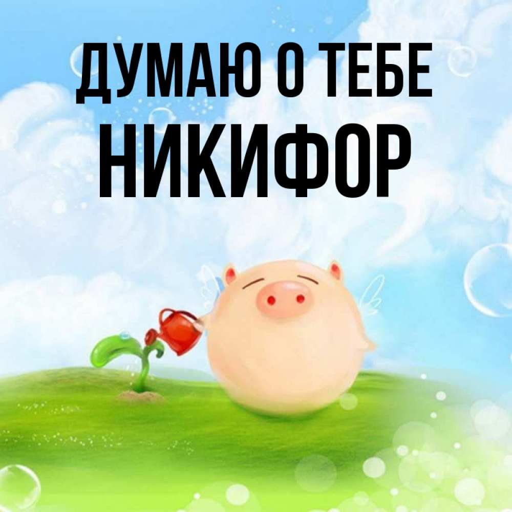 Открытка на каждый день с именем, Никифор Думаю о тебе позитивная свинюшка Прикольная открытка с пожеланием онлайн скачать бесплатно 