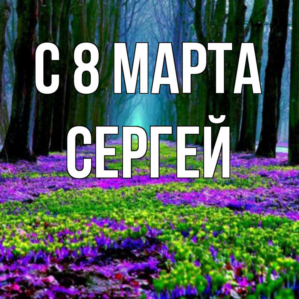 Открытка на каждый день с именем, Сергей С 8 МАРТА фиолетовые цветы в лесу 1 Прикольная открытка с пожеланием онлайн скачать бесплатно 