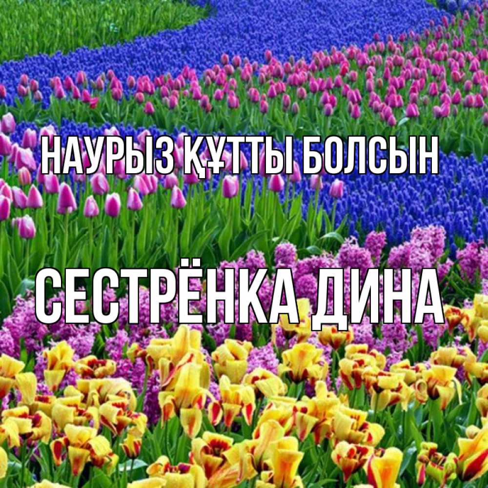 Открытка на каждый день с именем, Сестрёнка-Дина Наурыз құтты болсын цветы Прикольная открытка с пожеланием онлайн скачать бесплатно 