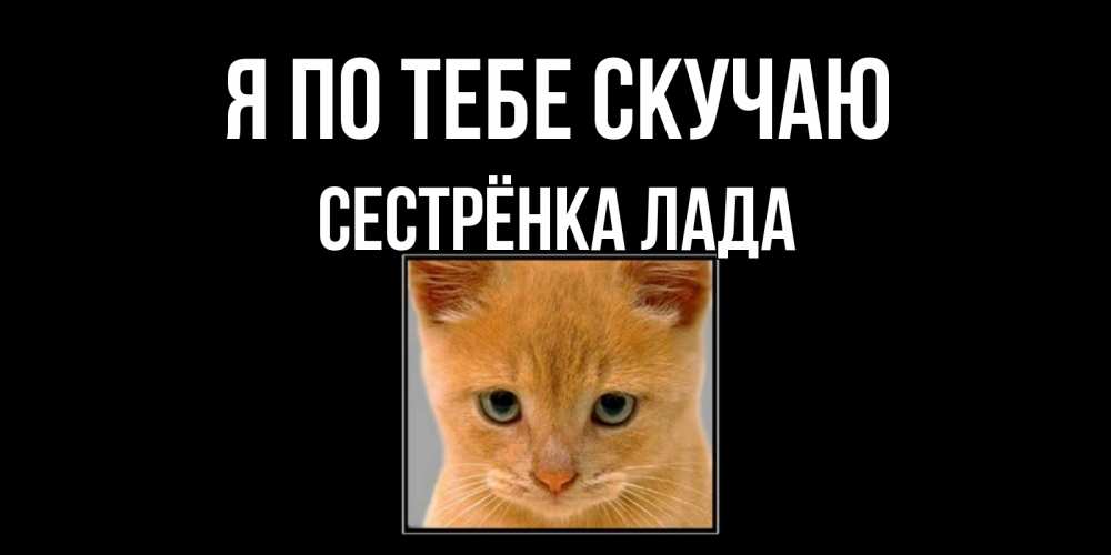 Открытка на каждый день с именем, Сестрёнка-Лада Я по тебе скучаю открытки рыжий котенок скучает по тебе Прикольная открытка с пожеланием онлайн скачать бесплатно 