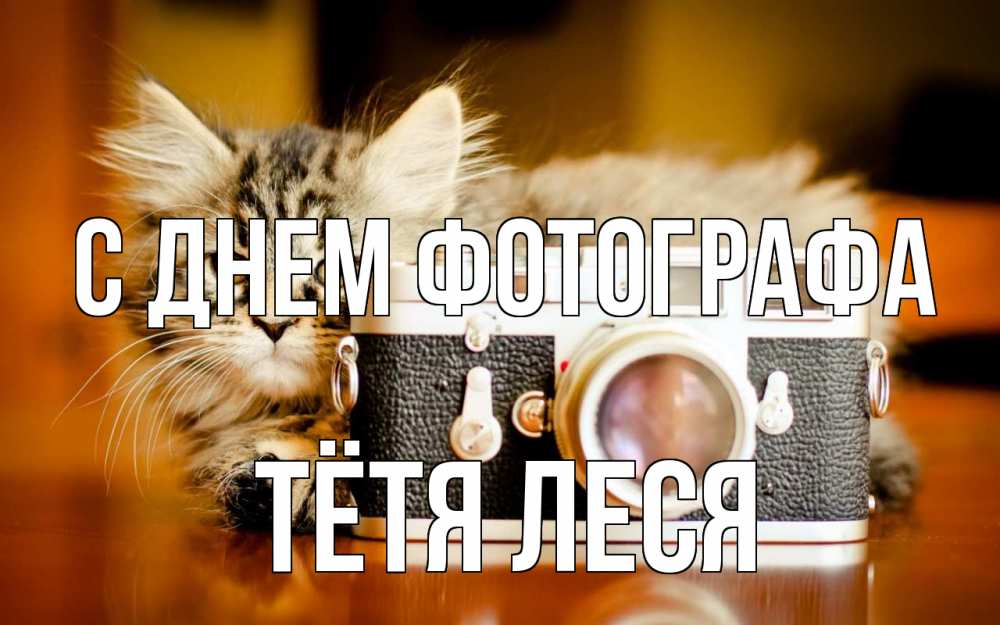 Открытка на каждый день с именем, Тётя-Леся С днем фотографа с днем фотографа Прикольная открытка с пожеланием онлайн скачать бесплатно 