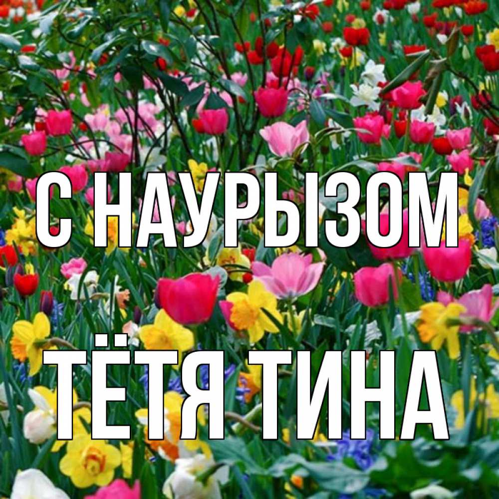 Открытка на каждый день с именем, Тётя-Тина С наурызом с наурызом праздником весны поздравления для женщины Прикольная открытка с пожеланием онлайн скачать бесплатно 