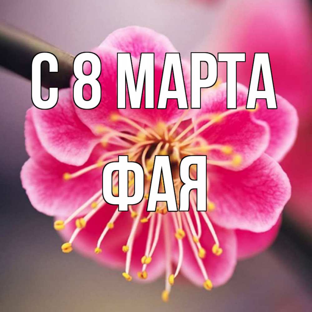Открытка на каждый день с именем, Фая С 8 марта цветы Прикольная открытка с пожеланием онлайн скачать бесплатно 
