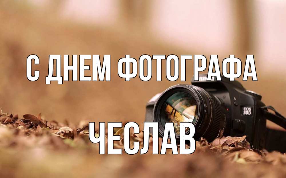 Открытка на каждый день с именем, Чеслав С днем фотографа с днем фотографа Прикольная открытка с пожеланием онлайн скачать бесплатно 