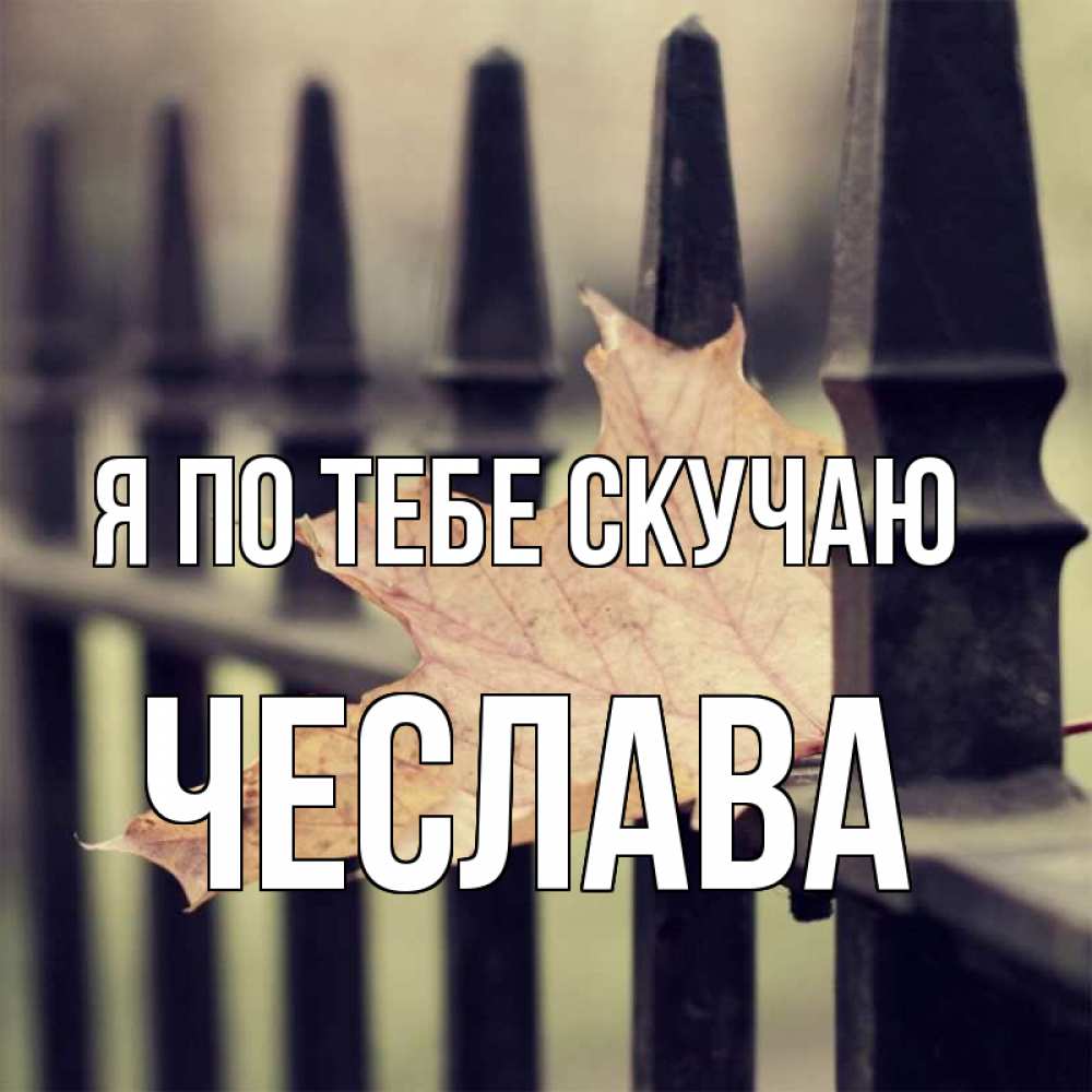 Открытка на каждый день с именем, Чеслава Я по тебе скучаю очень скучно Прикольная открытка с пожеланием онлайн скачать бесплатно 