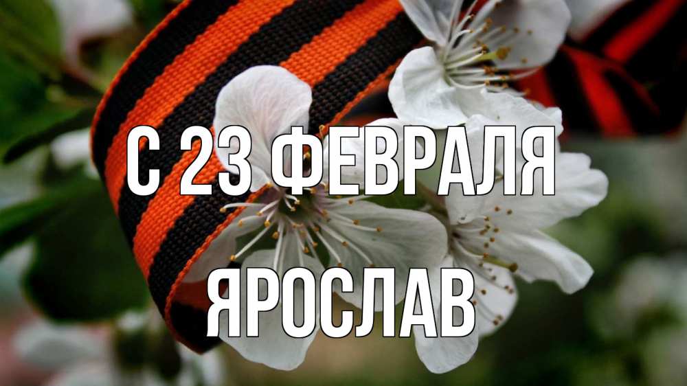 Открытка на каждый день с именем, Ярослав С 23 февраля 23 февраля Прикольная открытка с пожеланием онлайн скачать бесплатно 