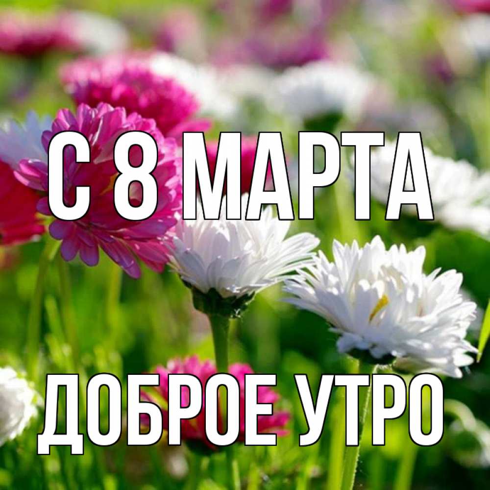 Открытка на каждый день с именем, доброе-утро С 8 марта международный женский день 1 Прикольная открытка с пожеланием онлайн скачать бесплатно 