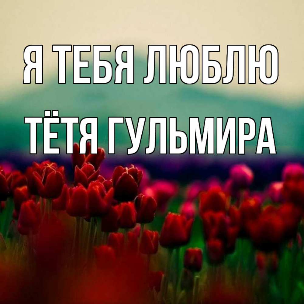 Открытка на каждый день с именем, Тётя-Гульмира Я тебя люблю тюльпаны 4 Прикольная открытка с пожеланием онлайн скачать бесплатно 