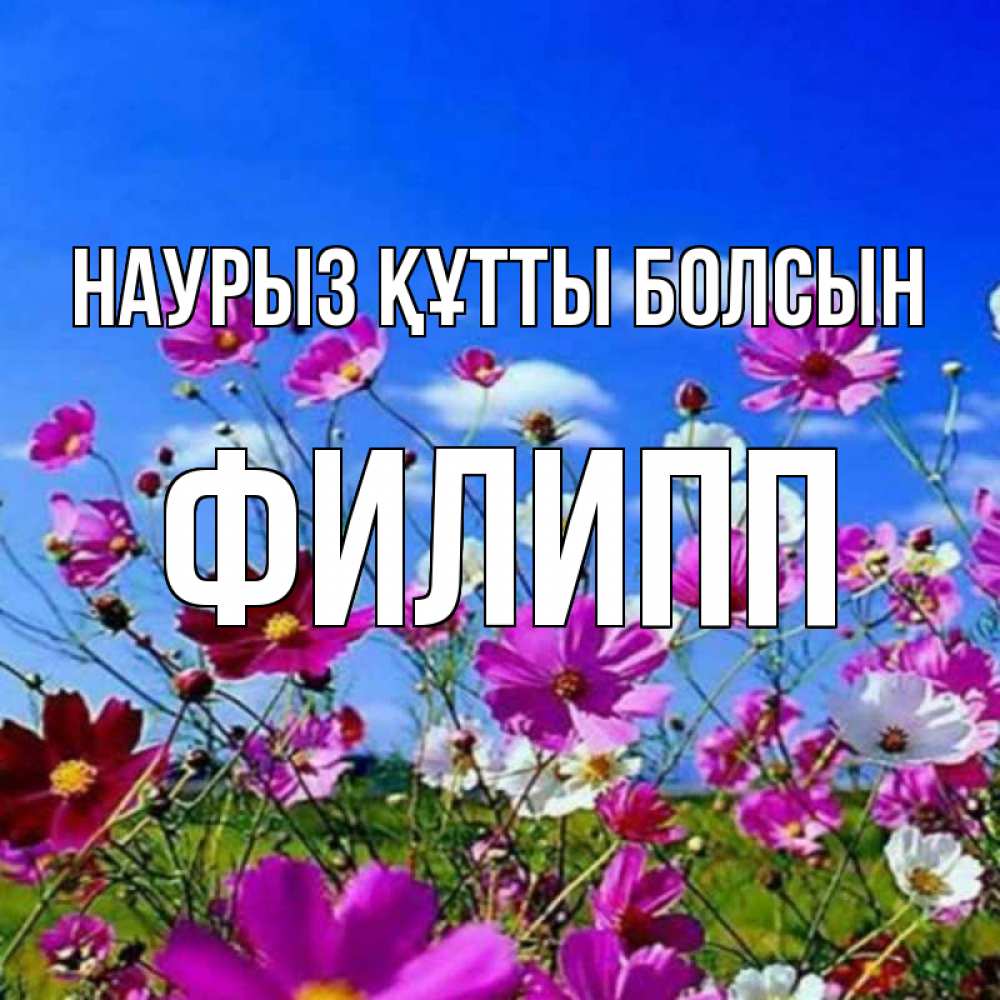 Открытка на каждый день с именем, Филипп Наурыз құтты болсын цветы Прикольная открытка с пожеланием онлайн скачать бесплатно 