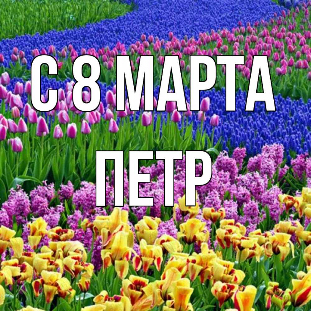 Открытка на каждый день с именем, Петр С 8 МАРТА цветы Прикольная открытка с пожеланием онлайн скачать бесплатно 