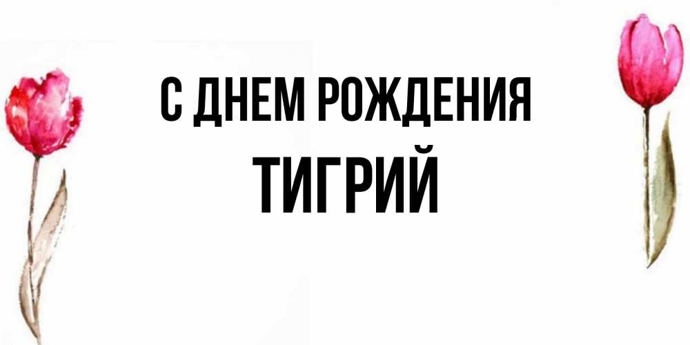 Открытка на каждый день с именем, Тигрий С днем рождения открытки акварелью с цветами Прикольная открытка с пожеланием онлайн скачать бесплатно 