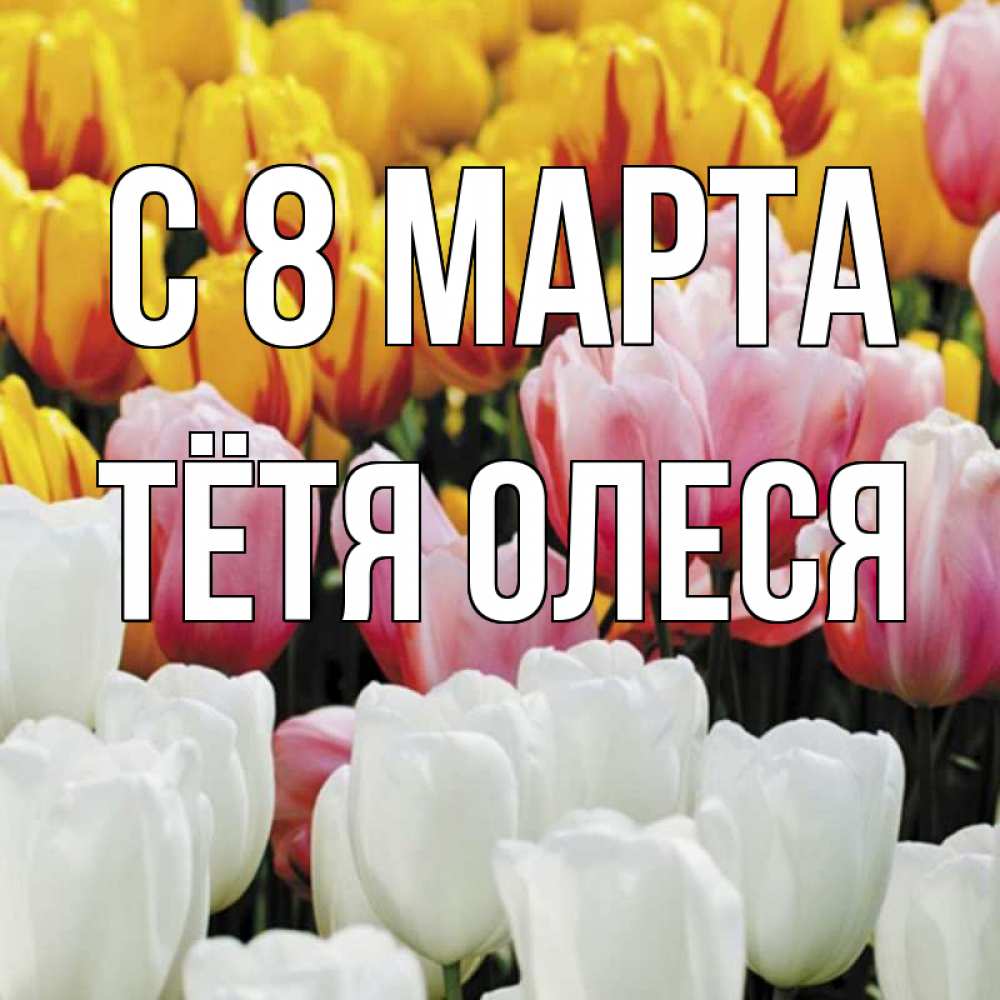 Открытка на каждый день с именем, Тётя-Олеся С 8 марта разноцветные цветы Прикольная открытка с пожеланием онлайн скачать бесплатно 