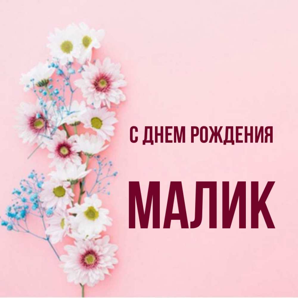 С днем рождения малика