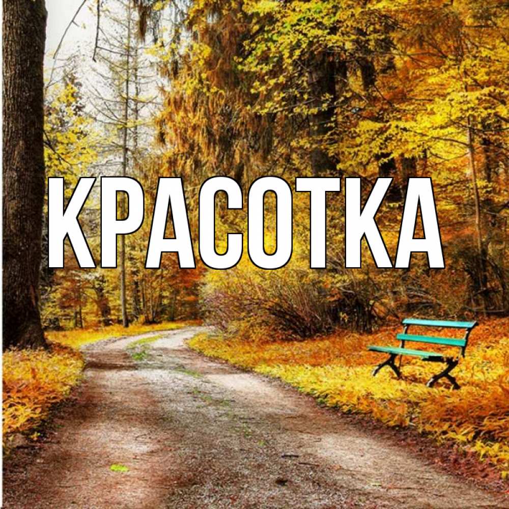 Открытка на каждый день с именем, красотка Главная зеленая лавочка и осенний лес Прикольная открытка с пожеланием онлайн скачать бесплатно 