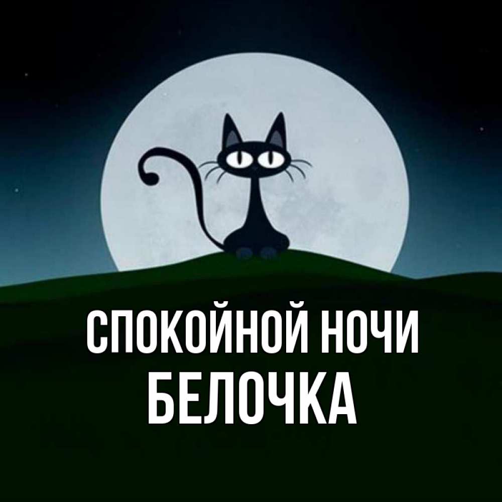Спокойной Ночи Белка Картинки
