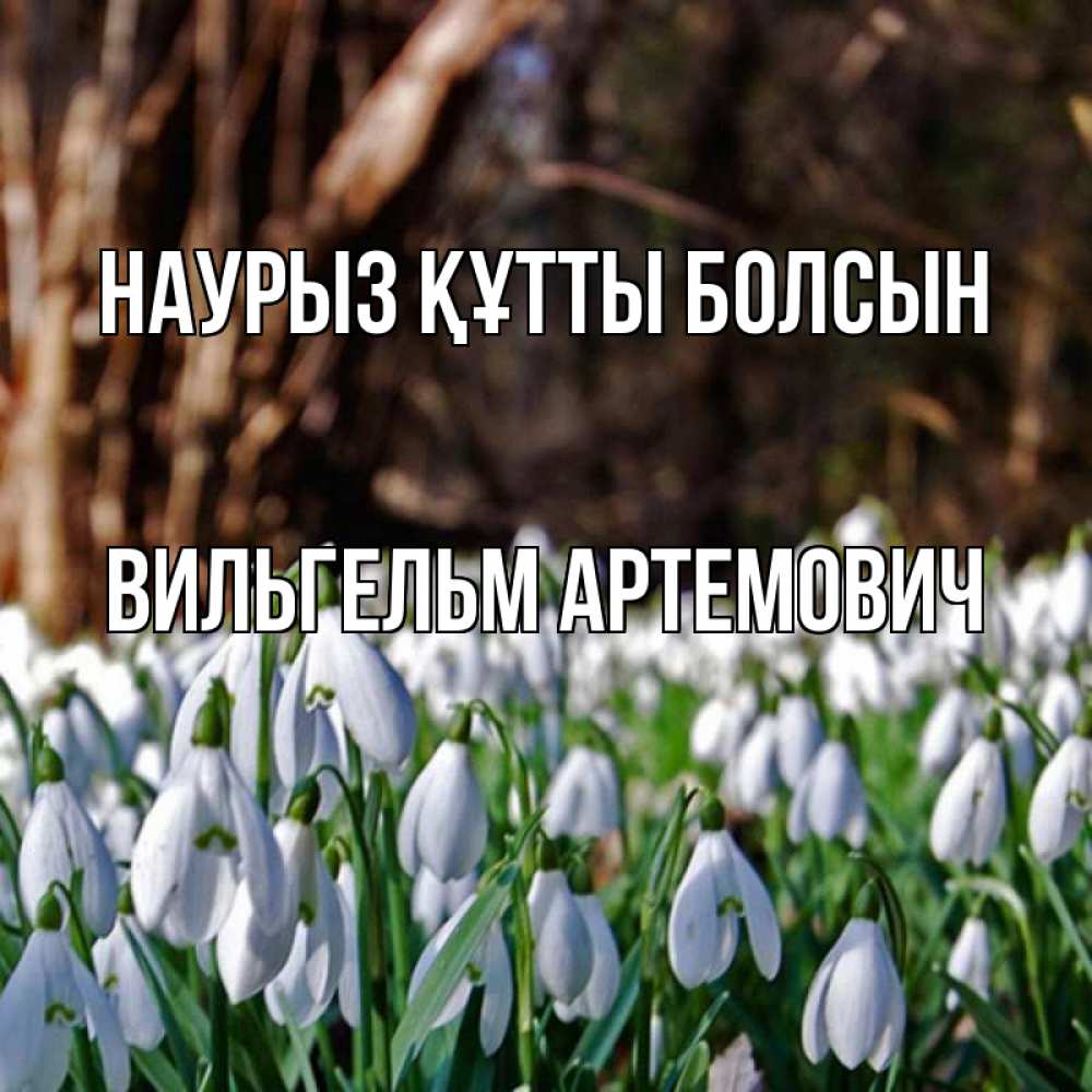 Открытка с именем, Вильгельм Артемович, Наурыз құтты болсын